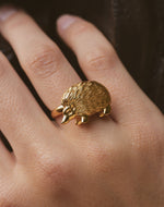 Anillo Puercoespín