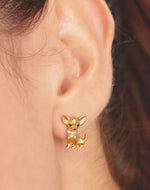 Aretes Chihuahua