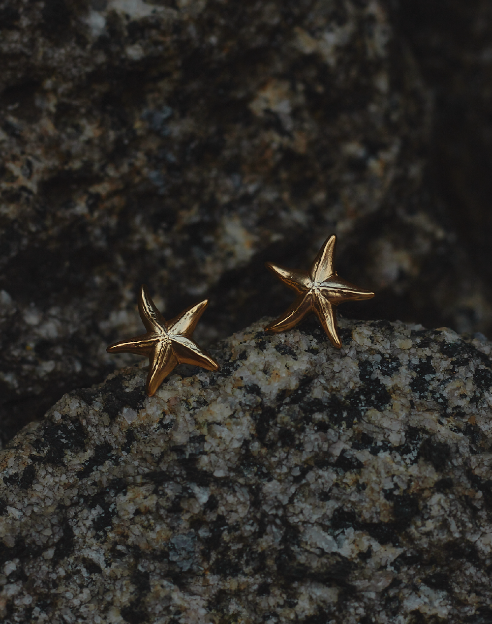 Aretes Estrella de Mar