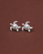 Aretes Tortuga Carey
