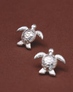 Aretes Tortuga Carey