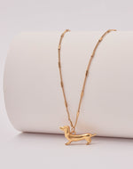 Collar Perro Salchicha