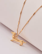 Collar Perro Salchicha