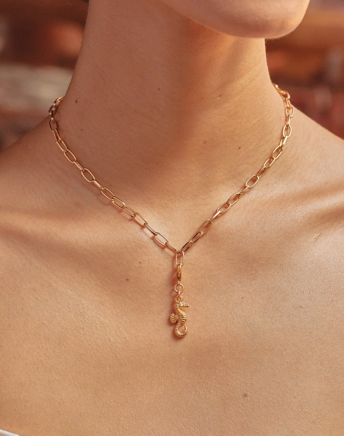 Mini Charm Caballito de Mar