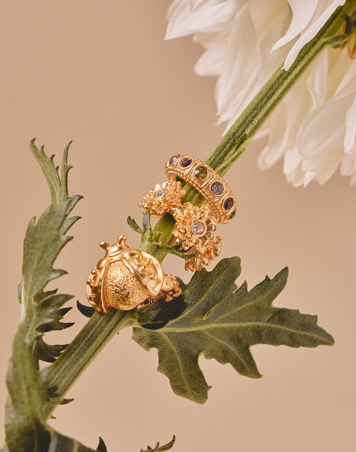 Set de 3 Earcuffs Naturaleza