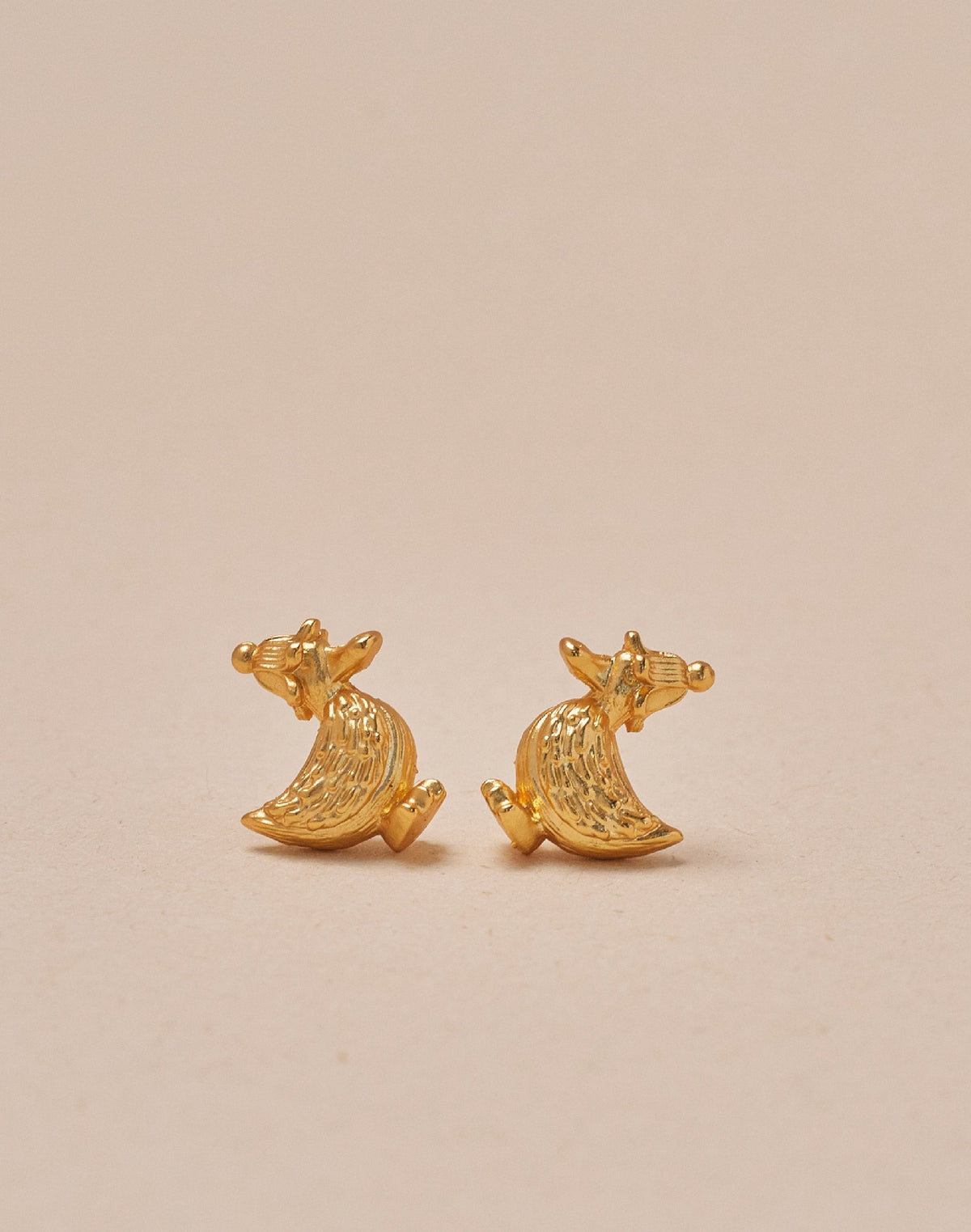 Set de 5 Aretes Farm