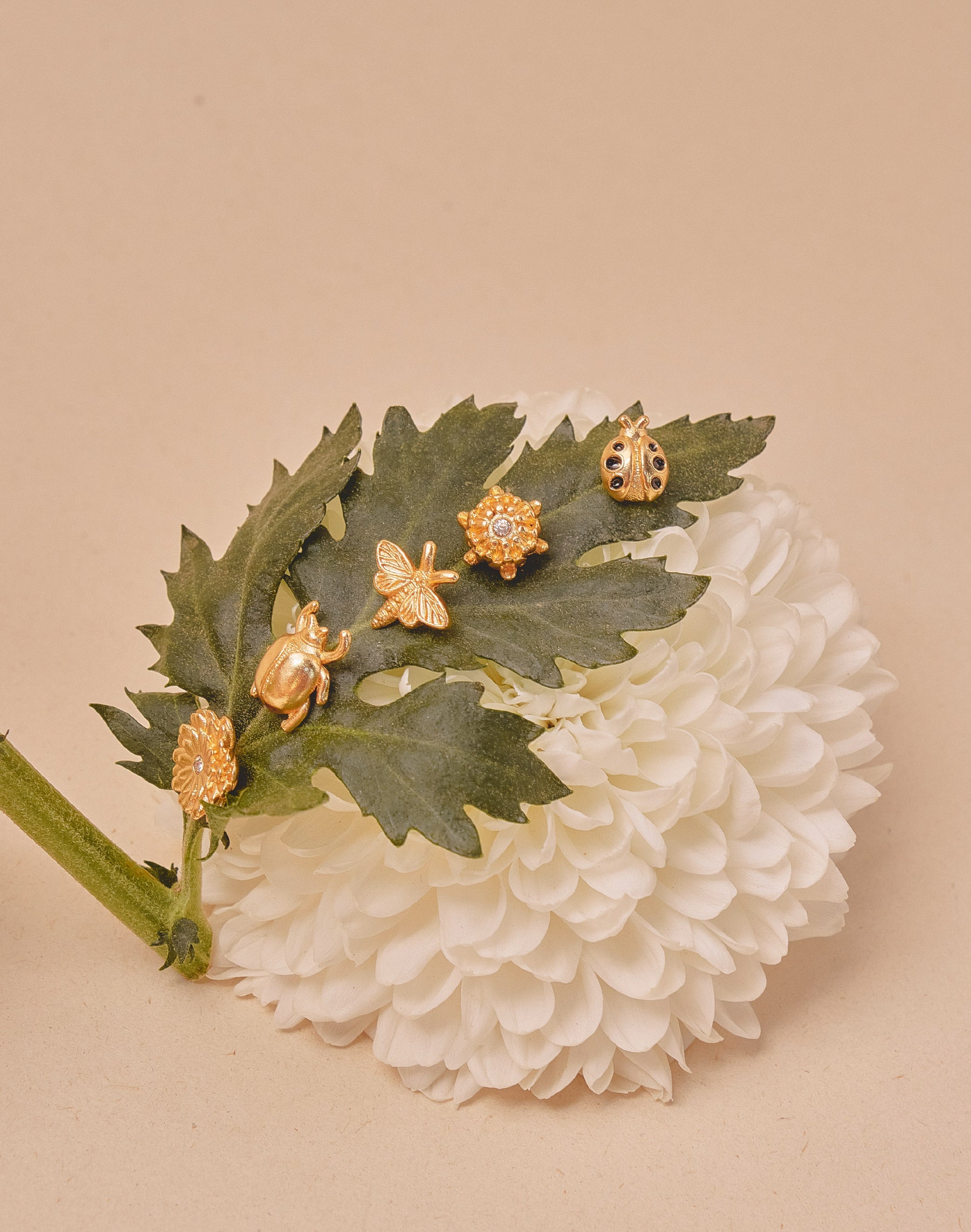 Set de 5 Aretes Florecer