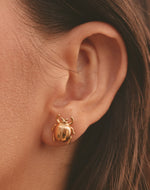 Set de 5 Aretes Florecer