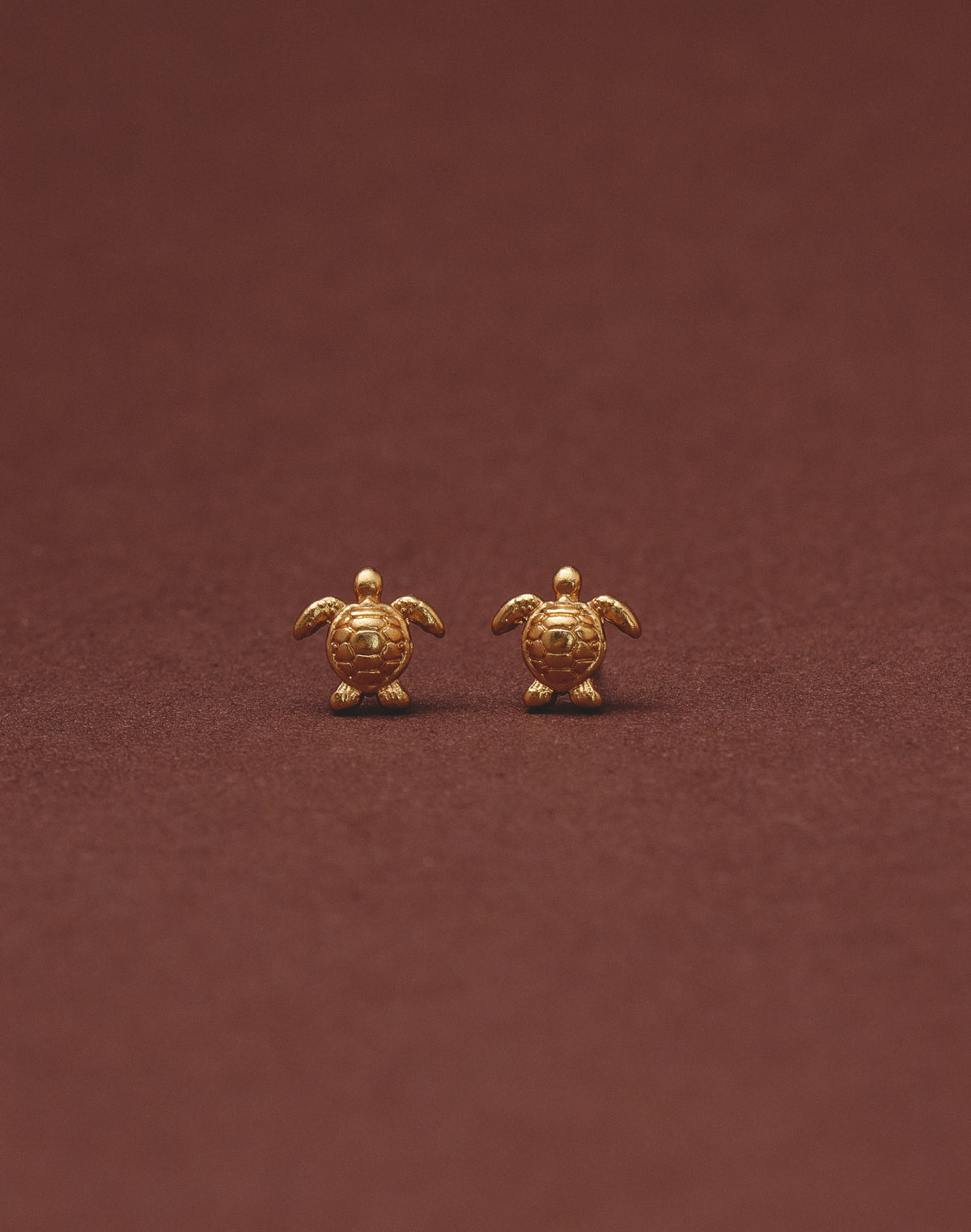 Set de 5 Aretes Mar y Selva