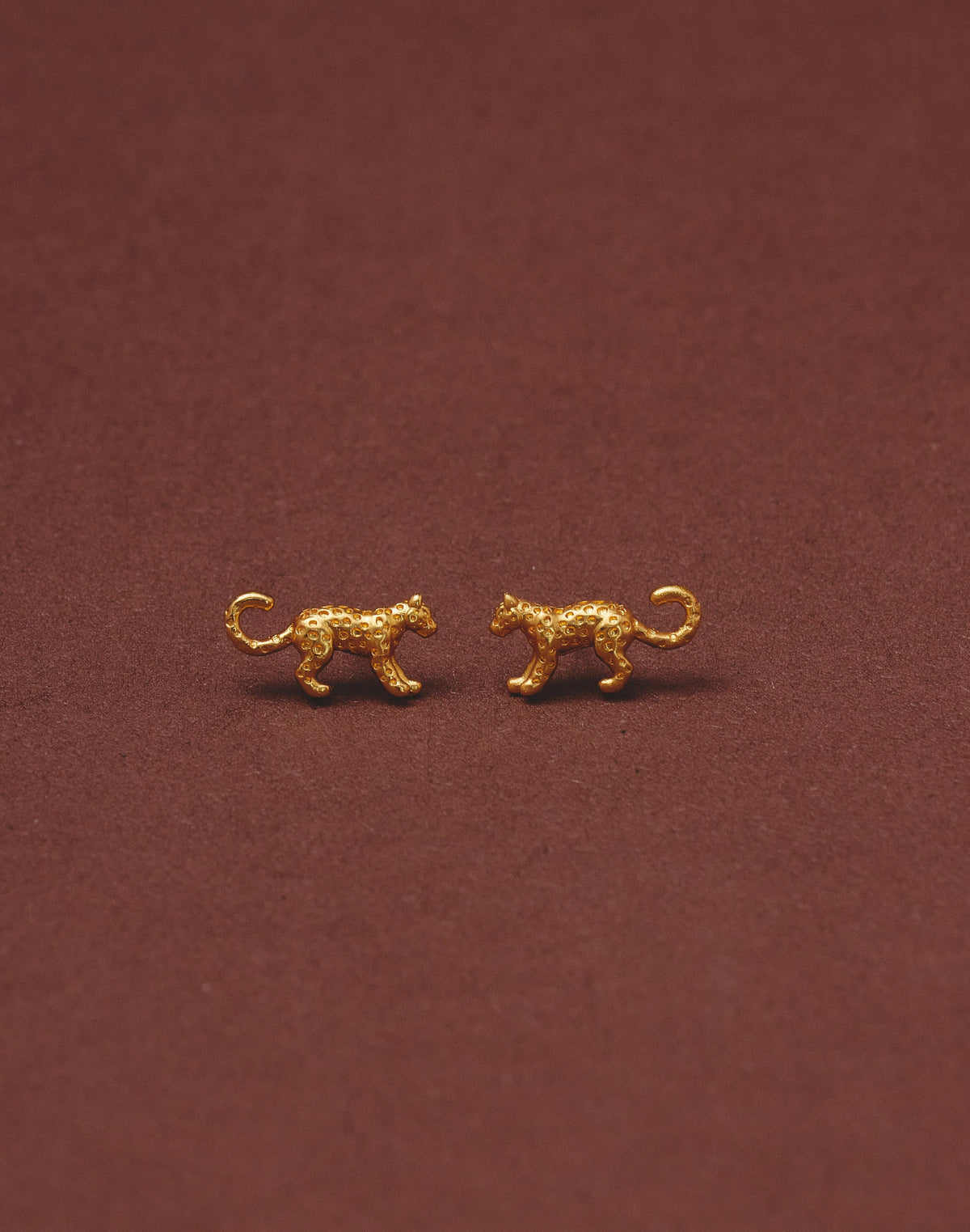 Set de 5 Aretes Mar y Selva