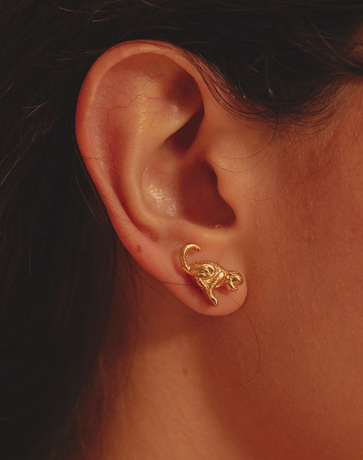 Set de 5 Aretes Templo Interior