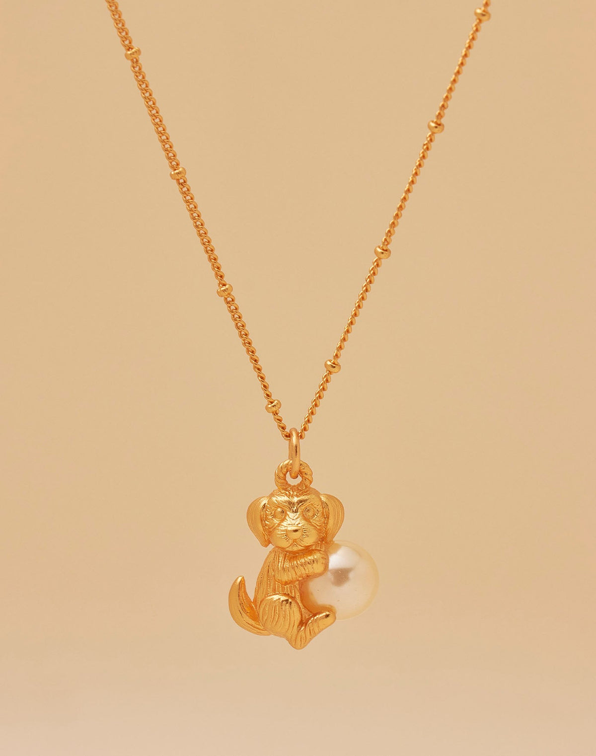 Set de Collar + Aretes Cachorro