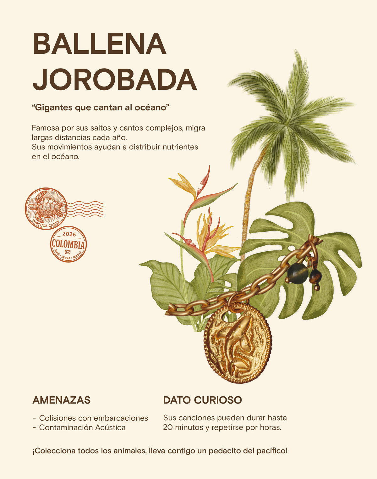 Maxi Collar + Aretes Monedas Selva Verde