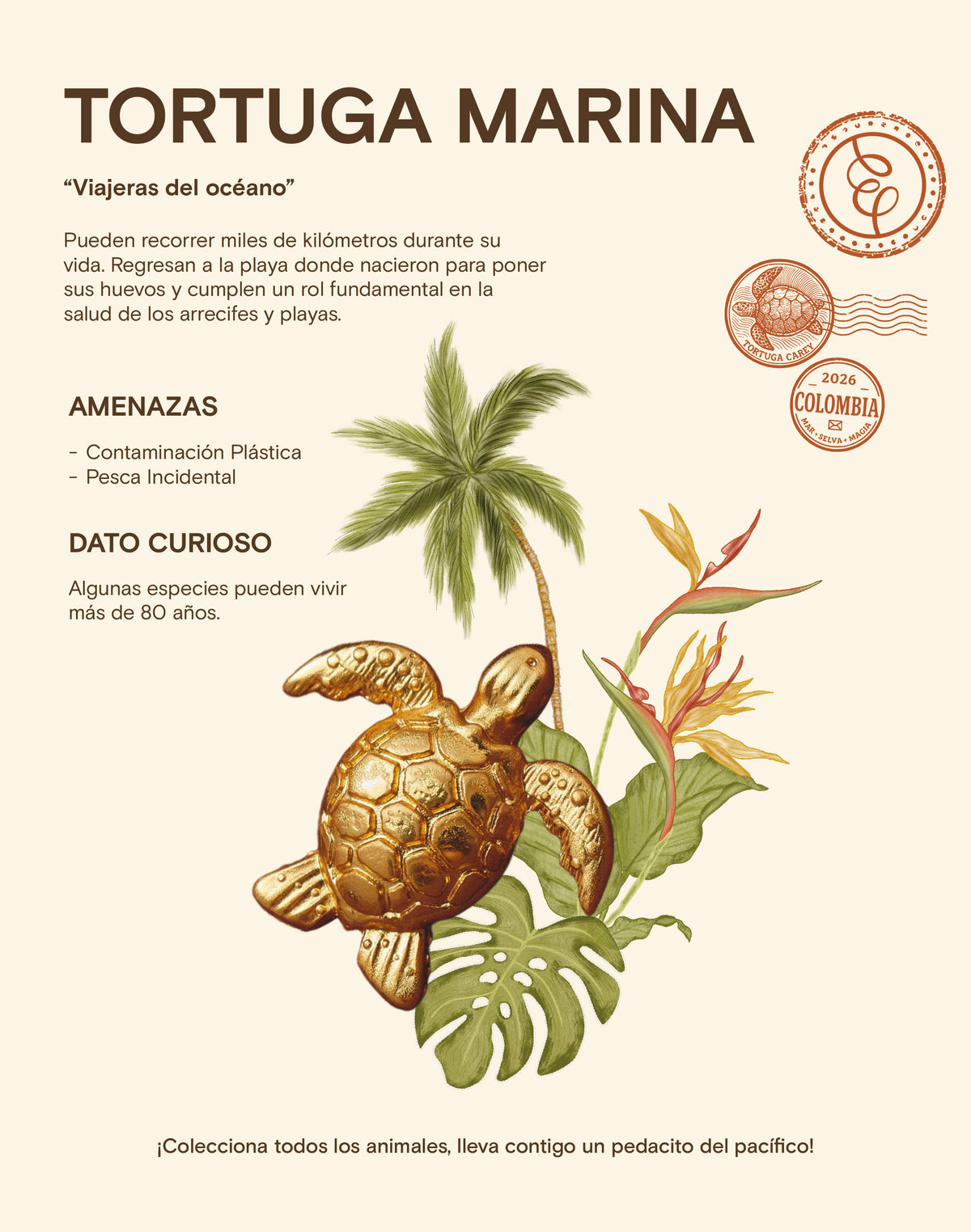 Aretes Tortuga Carey