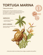 Set de 2 Pulseras Refugio del Sol